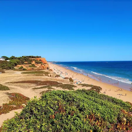 Falesia By Be Cherish